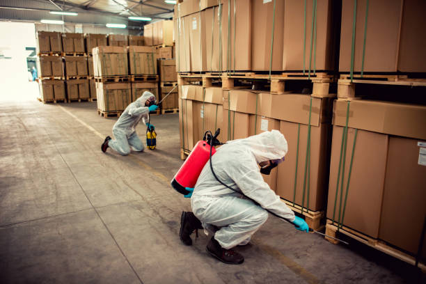 Best Flea Control Services  in Loudoun Lley Estates, VA
