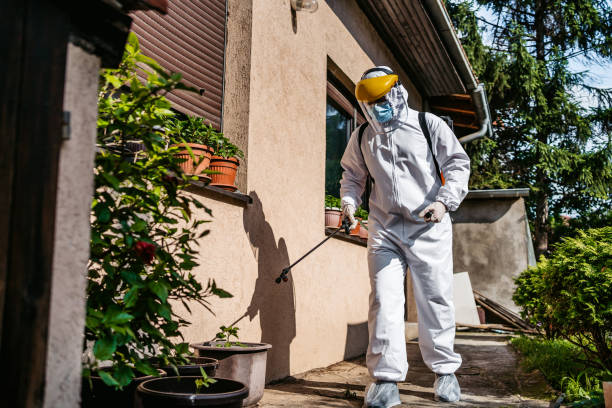 Best Pest Inspection Near Me  in Loudoun Lley Estates, VA