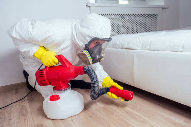Best Affordable Pest Control Services  in Loudoun Lley Estates, VA